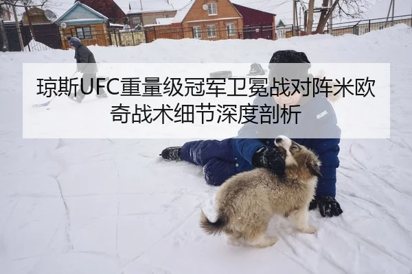 琼斯UFC重量级冠军卫冕战对阵米欧奇战术细节深度剖析